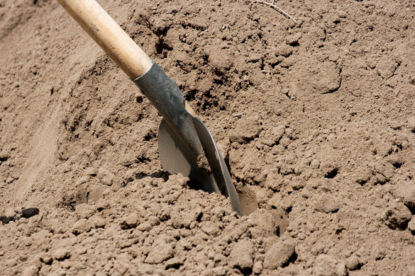 Fotó: NorthFoto Lapáttal zavarta el a mozgósító katonákat egy ukrán