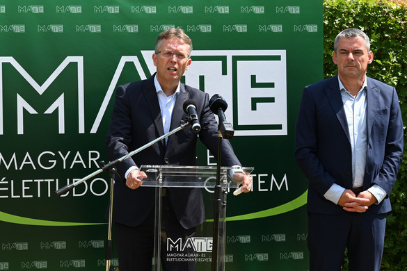 Hankó Balázs: Megújult és sikeres a magyar felsőoktatás
