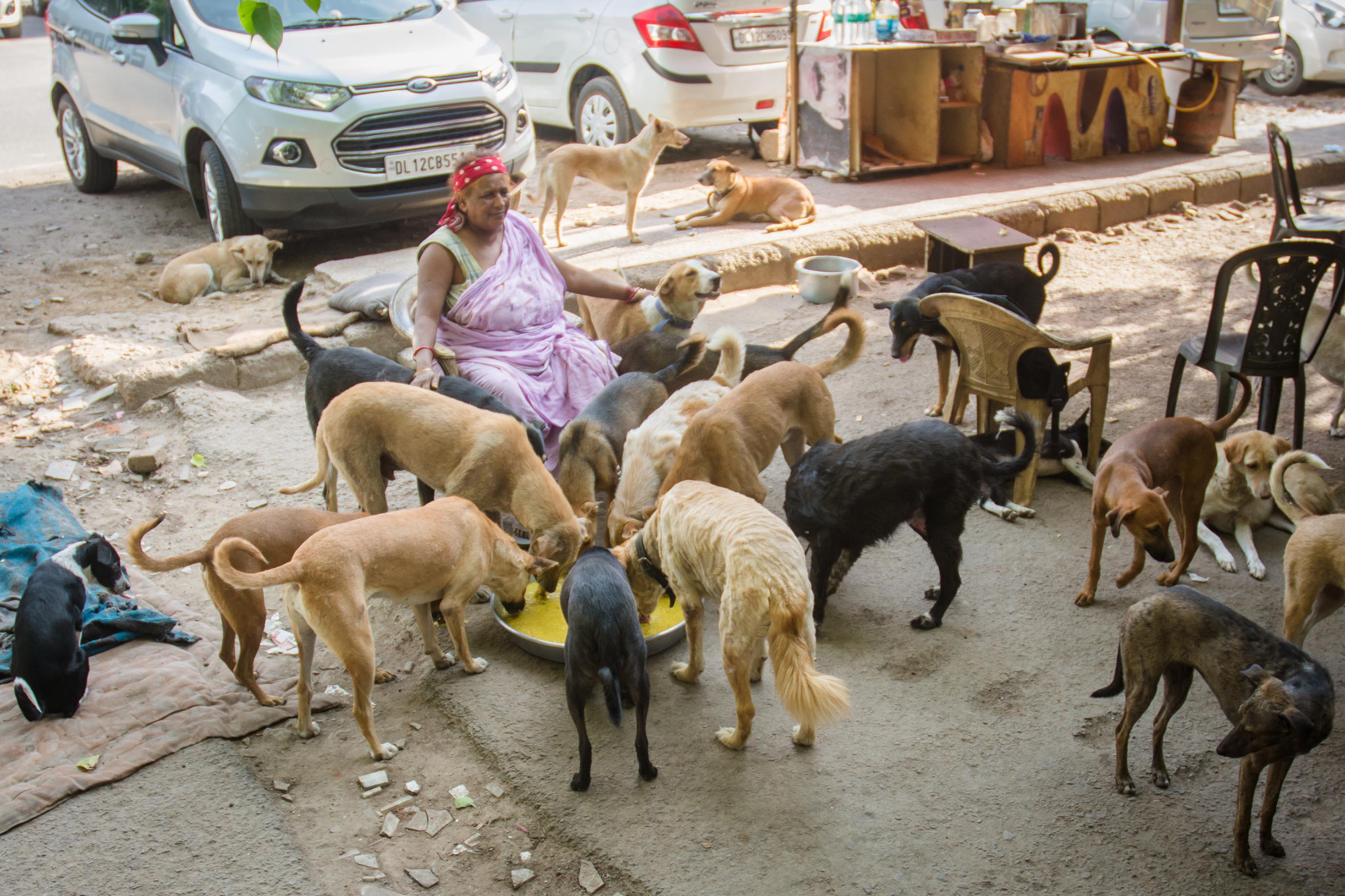 Delhi nyolc hetes határidőt kapott Kép