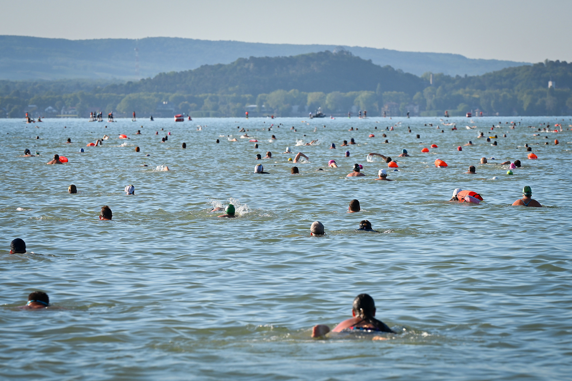 Fotó: MTI/Krizsán Csaba A 43. Lidl Balaton-átúszás résztvevői Révfülöpnél 2025. augusztus 9-én