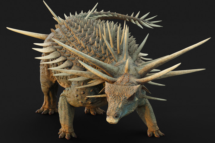 Fotó: AFP/Natural History Museum/Matt Dempsey A legidősebb ankylosaurus bizonyult a legszokatlanabbnak