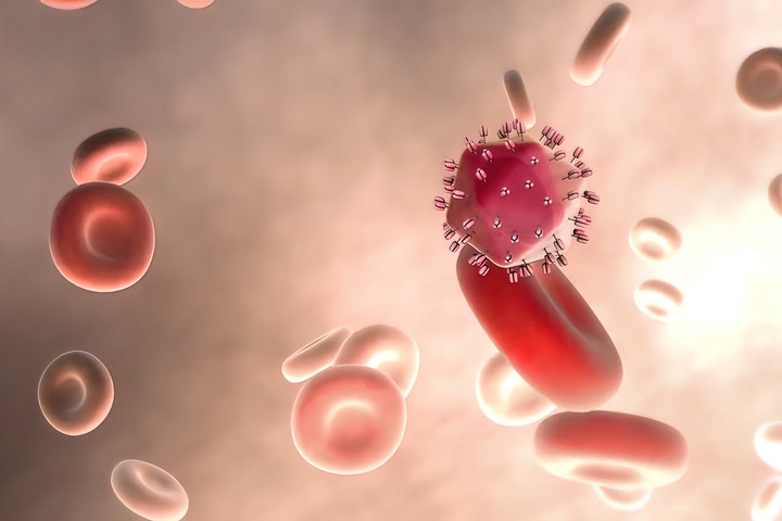 Fotó: NorthFoto Európában milliók élnek tudtukon kívül hepatitisszel