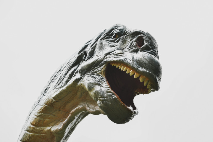 Fotó: Northfoto Mégsem úgy haltak ki a dinoszauruszok, ahogy eddig hittük?