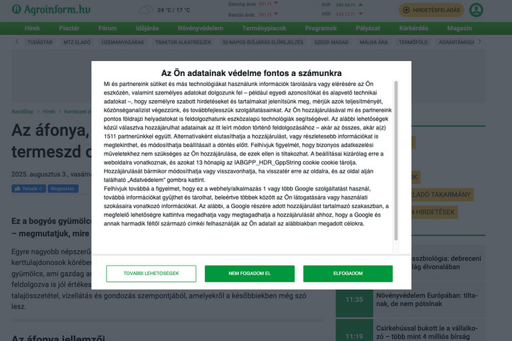 Fotó: MH/BTK Elfogadja az „összes cookie-t"? Ez veszélyes is lehet.