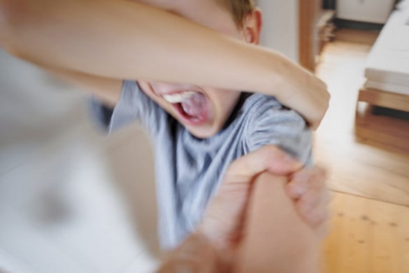 Újabb három letartóztatás a Szőlő utcai ügyben