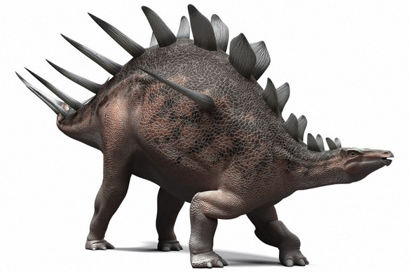 Különös, páncélos és tüskés dinoszauruszfajt fedeztek fel