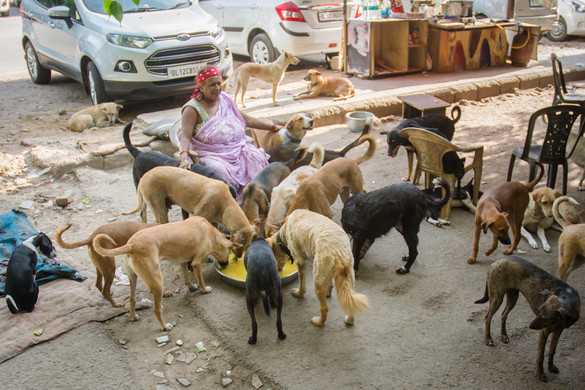 Delhi nyolc hetes határidőt kapott