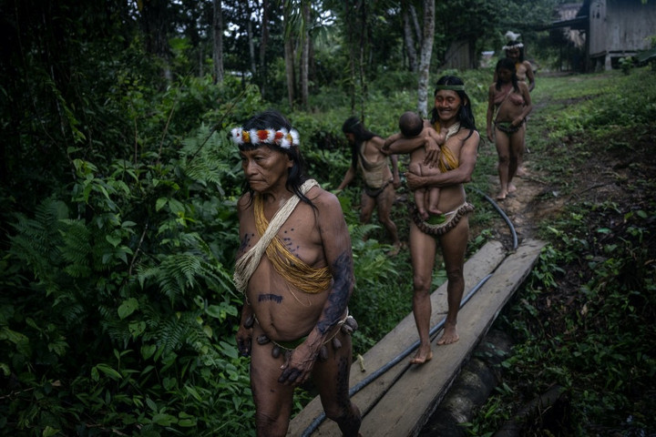 Fotó: AFP/Anadolu/Ozge Elif Kizil Hogyan védi az Amazonas esőerdő az emberi egészséget?