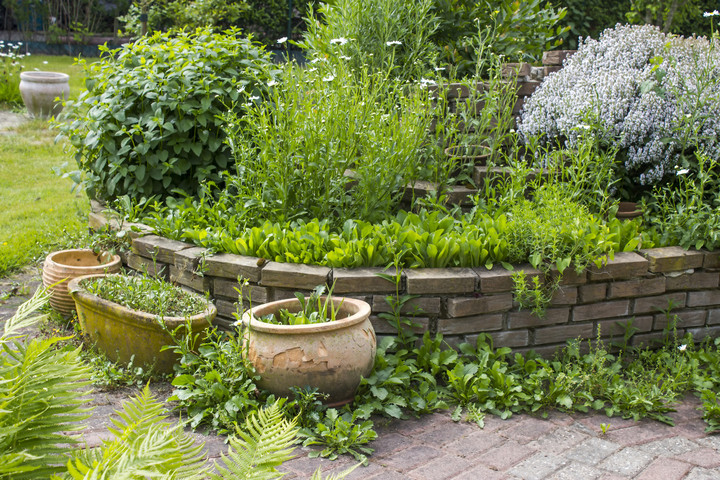 Fotó: NorthFoto Nem csak a magas vérnyomás és a daganatok ellen véd az egyik népszerű fűszer