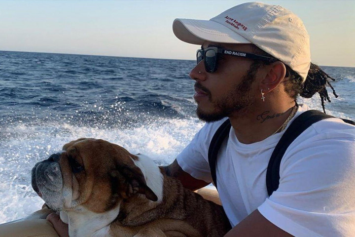 Kómába került Hamilton kutyája