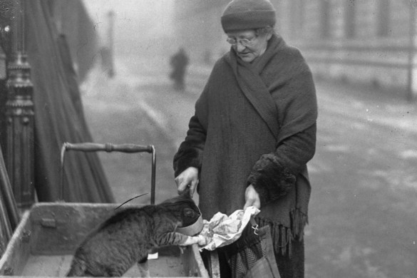 A nagy brit kisállat-mészárlás: 1939 egyik legszomorúbb tragédiája