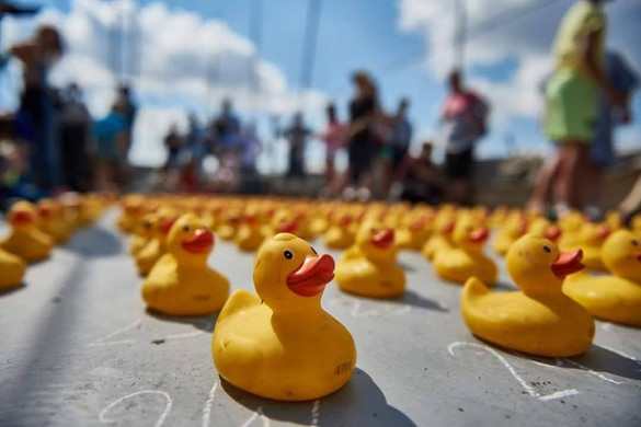 Gumikacsákkal az életmentő szívműtétekért