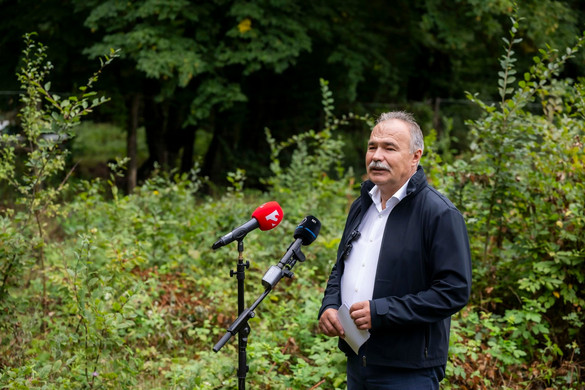 Megalakult az Erdészeti Klímaadaptációs Fórum
