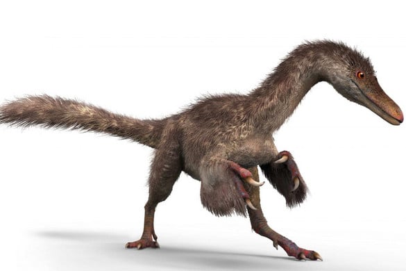 Elképesztő leletet találtak