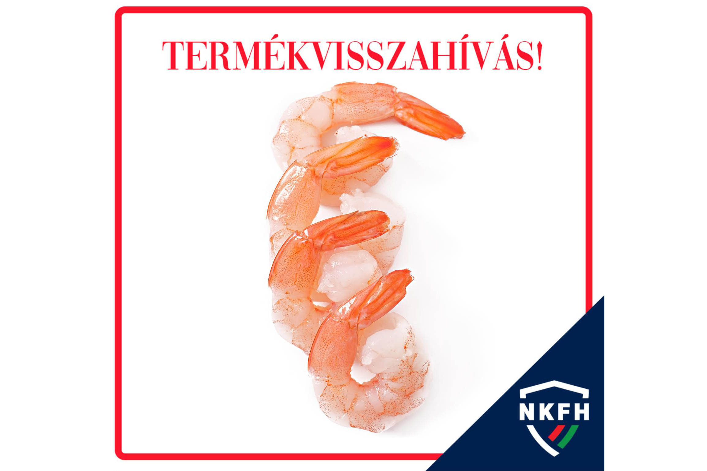 Cikk borítókép