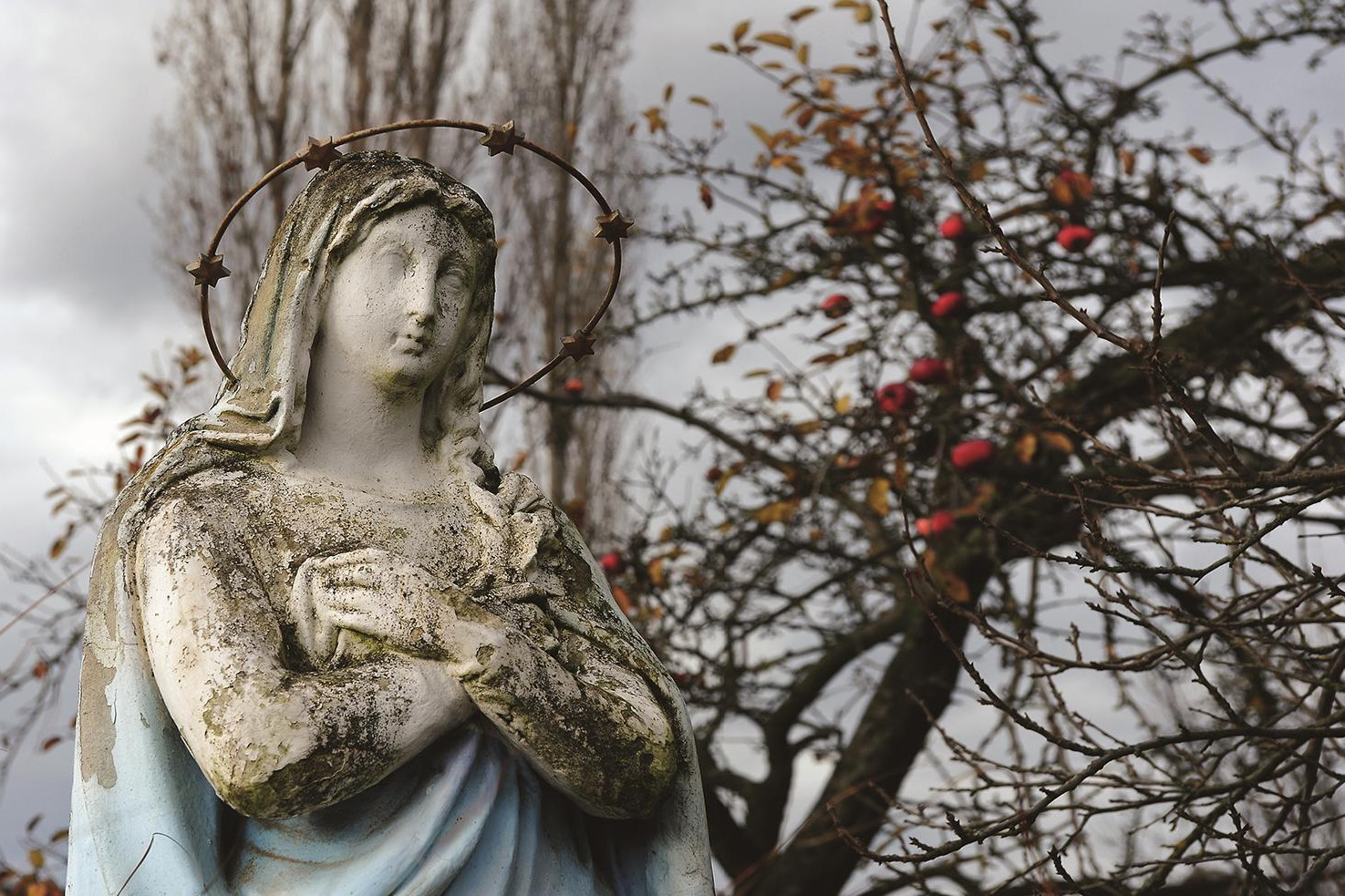 Mária. Lengyel. A Te Deum című albumból