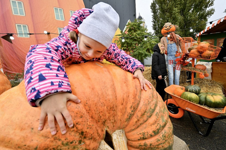 Így marad sokáig friss és tartós a halloween tök