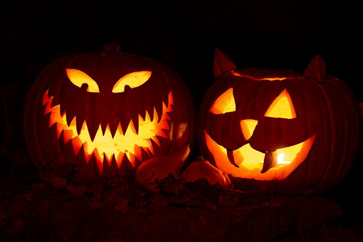 Fotó: AFP/APA/Laurin Christl Félelmetesen jó Halloweeni est a Fővárosi Állatkertben