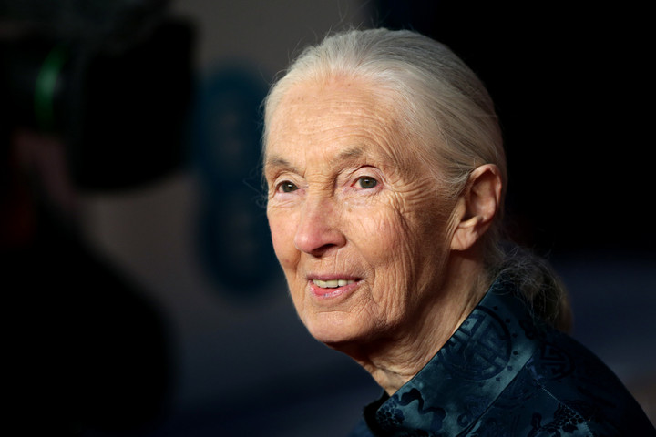 A halála előtt Jane Goodall felelősségre vonja Trumpot és Putyint