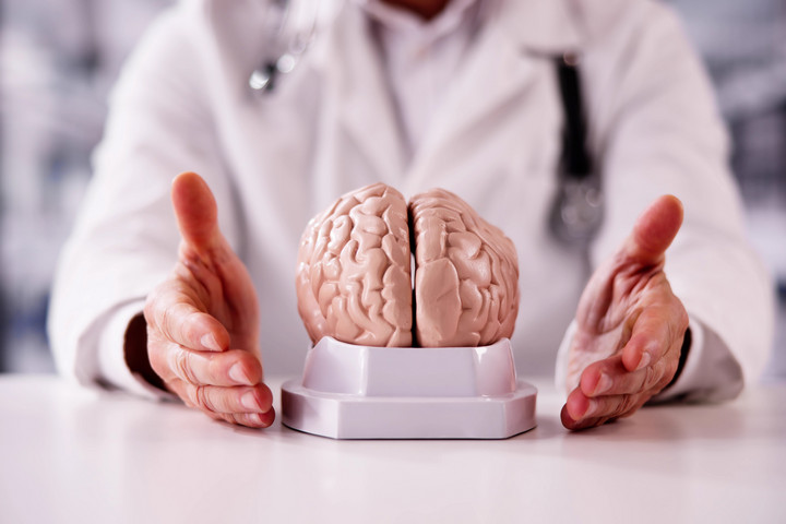 Fotó: NorthFoto Az alacsony koleszterinszint megvédheti az agyat a demenciától