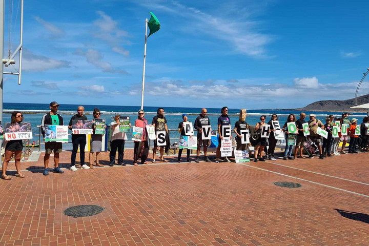 Fotó: NorthFoto Bizar vita dúl Gran Canarián egymillió polip miatt