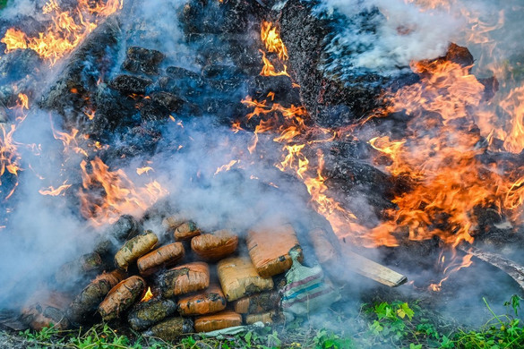 Más tervük volt a kábítószerrel