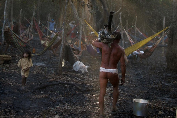 Fotó: AFP/Antonio Scorza A világ 196 érintetlen törzse súlyos fenyegetéssel néz szembe a túlélésükre