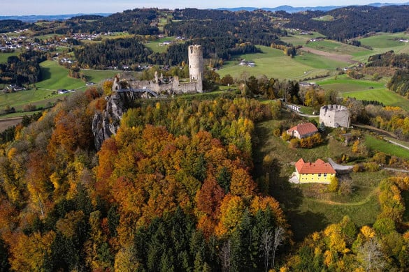 Színkavalkád a természettől