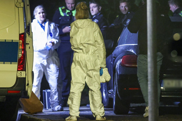 A megkéselt német polgármester szerint örökbe fogadott lánya támadta meg őt