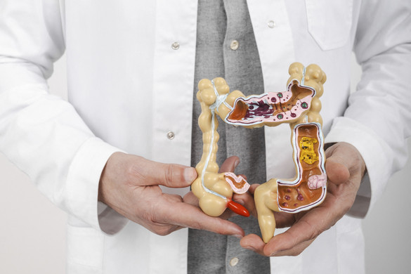 Kutatók megoldották a Crohn-betegség 25 éves rejtélyét