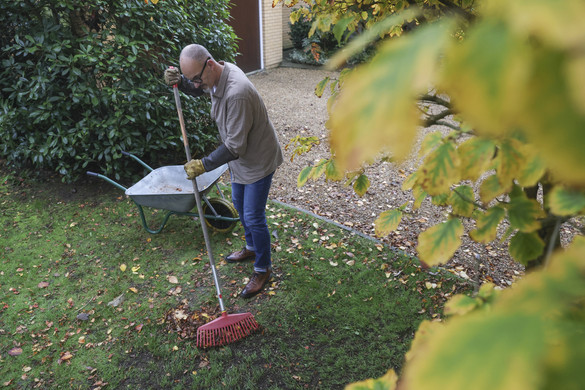 Ez okozhat most allergiás tüneteket