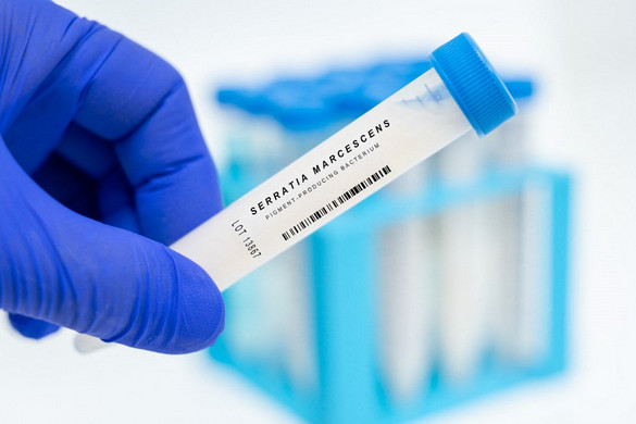 Újabb csecsemő hunyt el a jászvásári kórházban