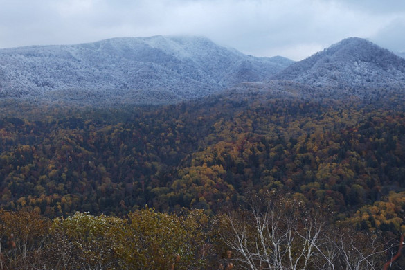 Fotó: AFP/The Yomiuri Shimbun/Masaki Furumaya Akkor jön a tél, amikor nem számítunk rá
