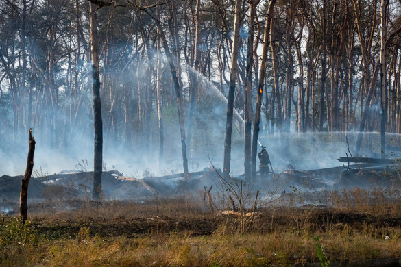 Megdöbbentőek az ukrajnai háború környezeti hatásai