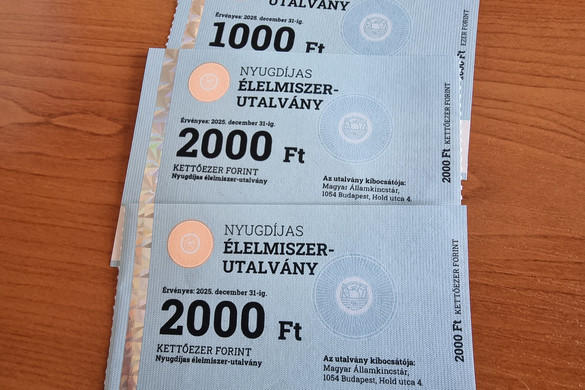 Fotó: MH/BánTóthKata Hatalmas sikere van az élelmiszer-utalványoknak