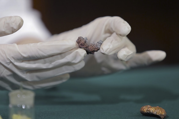 Több ezer évvel ezelőtt az emberek túléltek egy olyan fertőzést, amelyről senki sem tudott