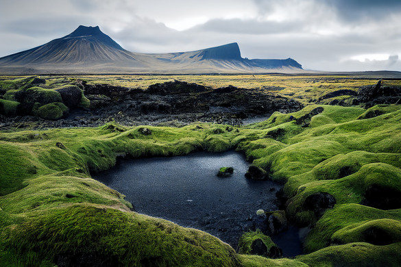 Fotó: NorthFoto Rejtély, miért jelentek meg a szúnyogok a korábban rovarmentes országban