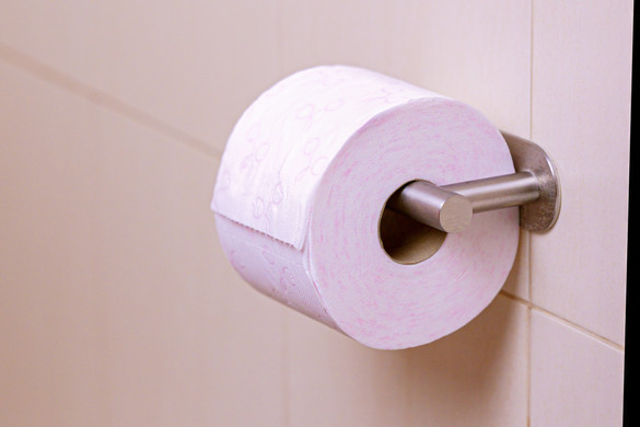 Fotó: NorthFoto Mindannyian rossz helyen tartjuk a WC-papírt?