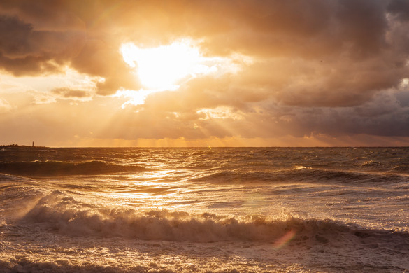 Döbbenetes megállapítás a Vörös-tengerről