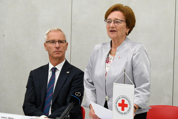 Fotó: MTI/Máthé Zoltán A vöröskereszt tevékenysége meghatározó az ország életében