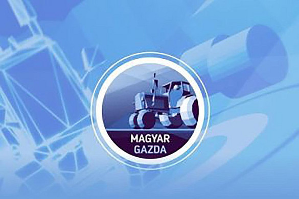 Számos tévés fesztiválon vívtak ki elismerést az MTVA produkciói