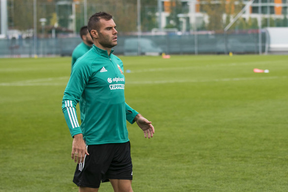 Fotó: MH archív/Purger Tamás Nikolics: Tartoztunk neki egy győzelemmel