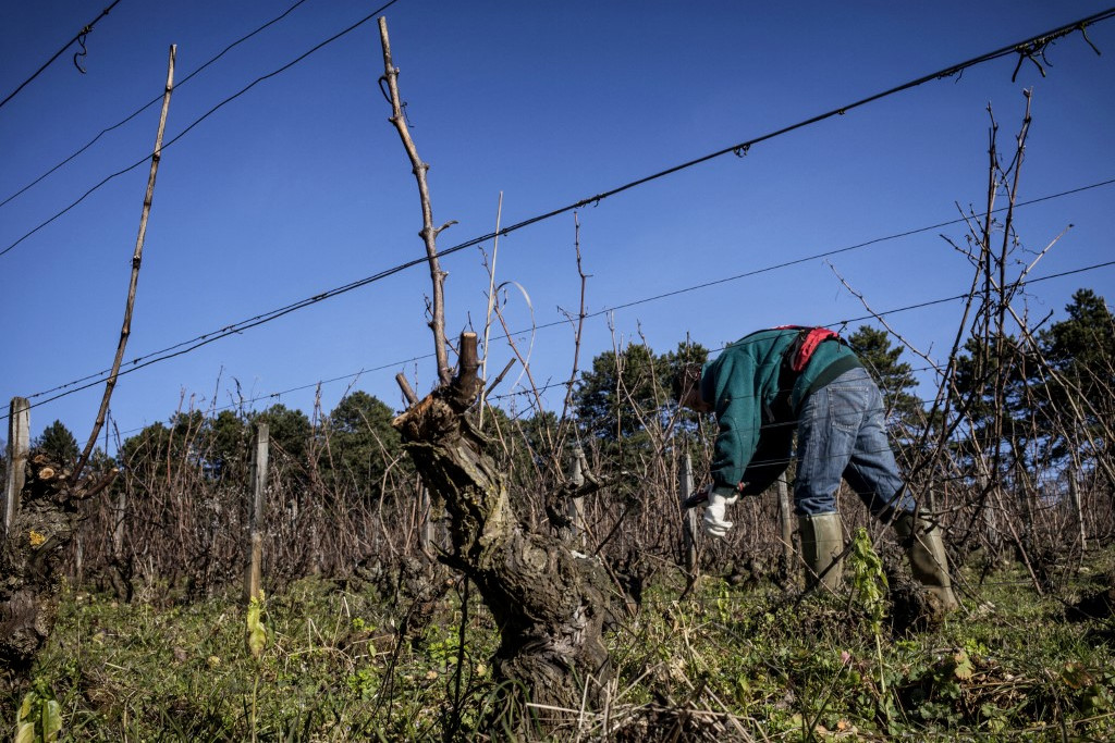 Aranyszínben játszik a rettenet