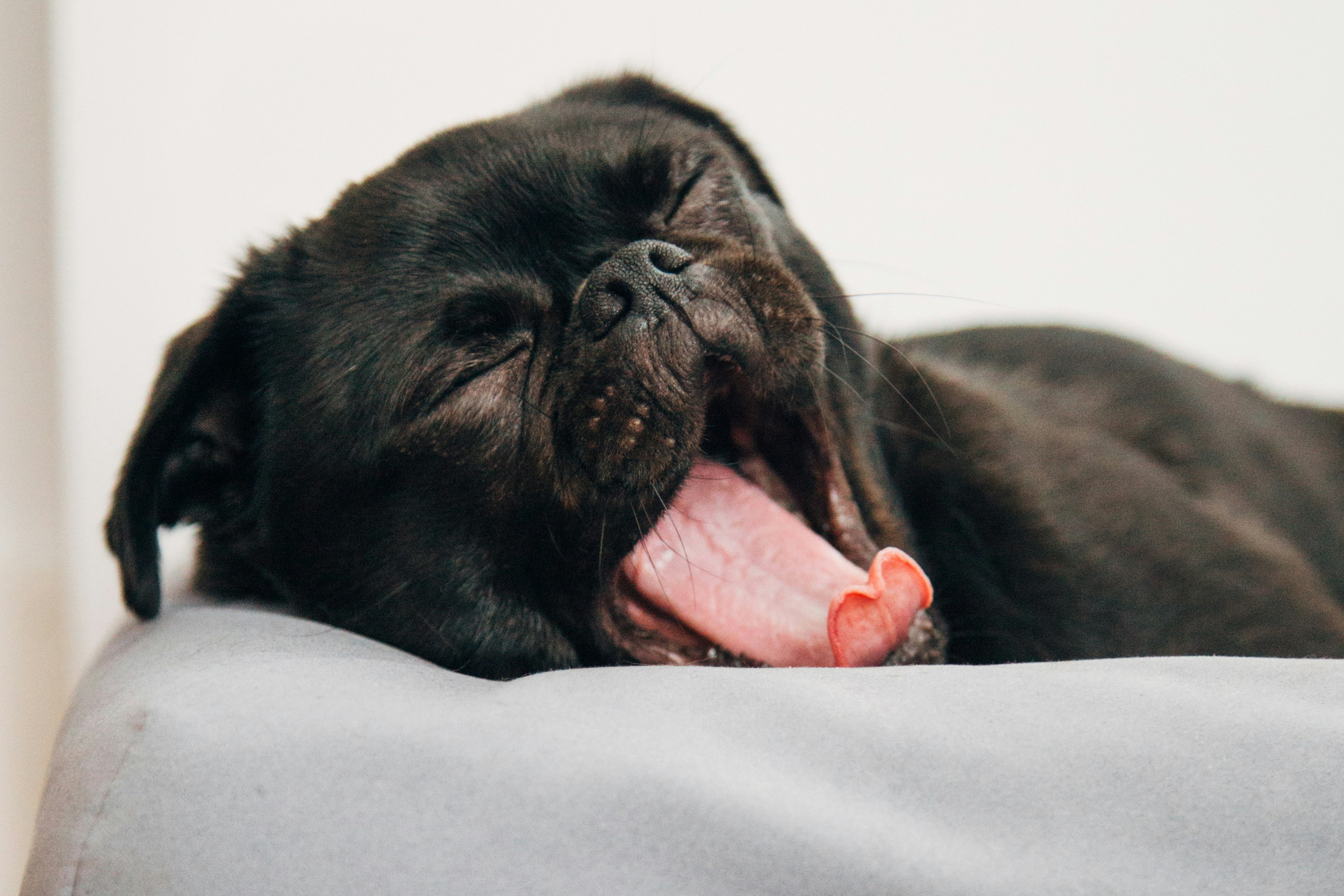 Semmi sem történt? Így ver át minket a történelem