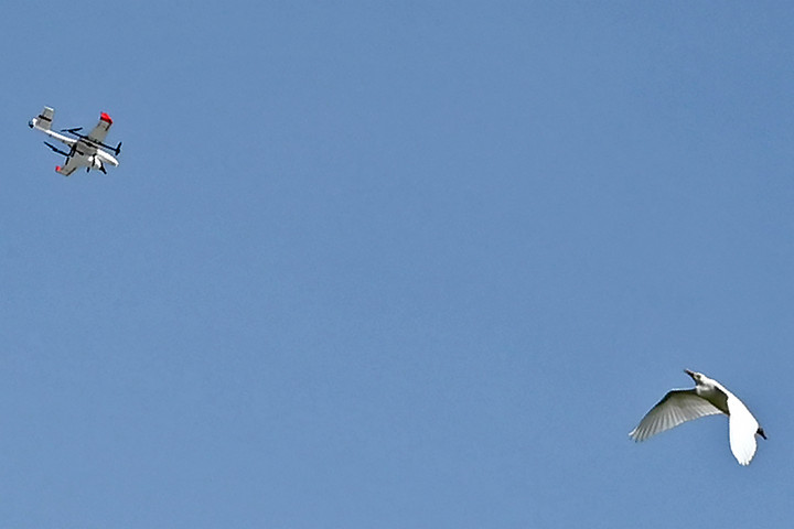 Hollandia akár 3 milliárd eurót is befektethet a drónok elleni védelembe