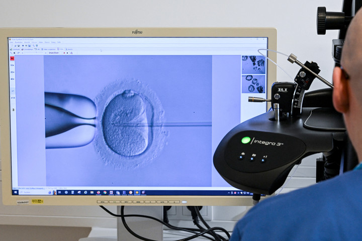 Fotó: dpa Picture-Alliance via AFP/Jens Kalaene A mesterséges megtermékenyítés eredményességét javító inkubátort fejlesztenek