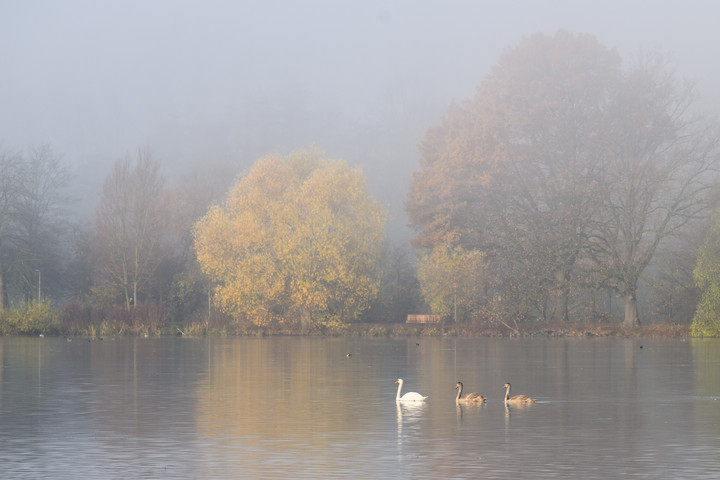 Köd, majd napsütés