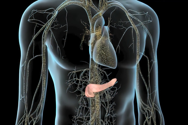 Fotó: NorthFoto Az összes rák közül ez a legalattomosabb