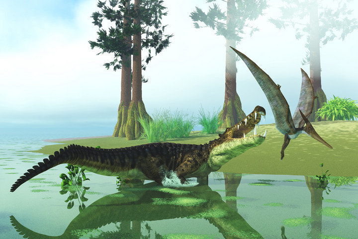 Fotó: NorthFoto 240 millió éves fosszíliát fedeztek fel