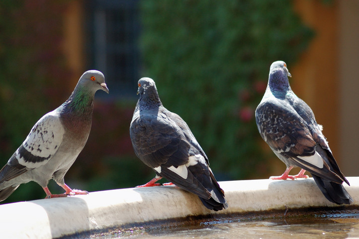 Fotó: NorthFoto Kiderült Putyin titkos programja
